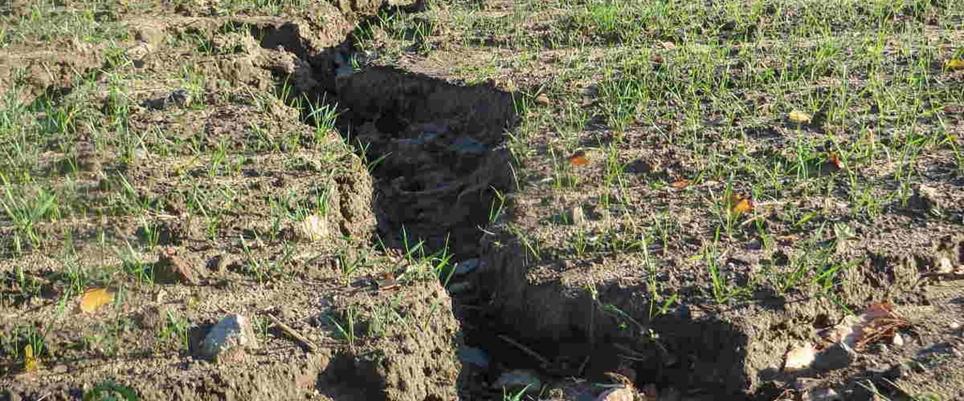 Preventing Soil Erosion During Land Clearing