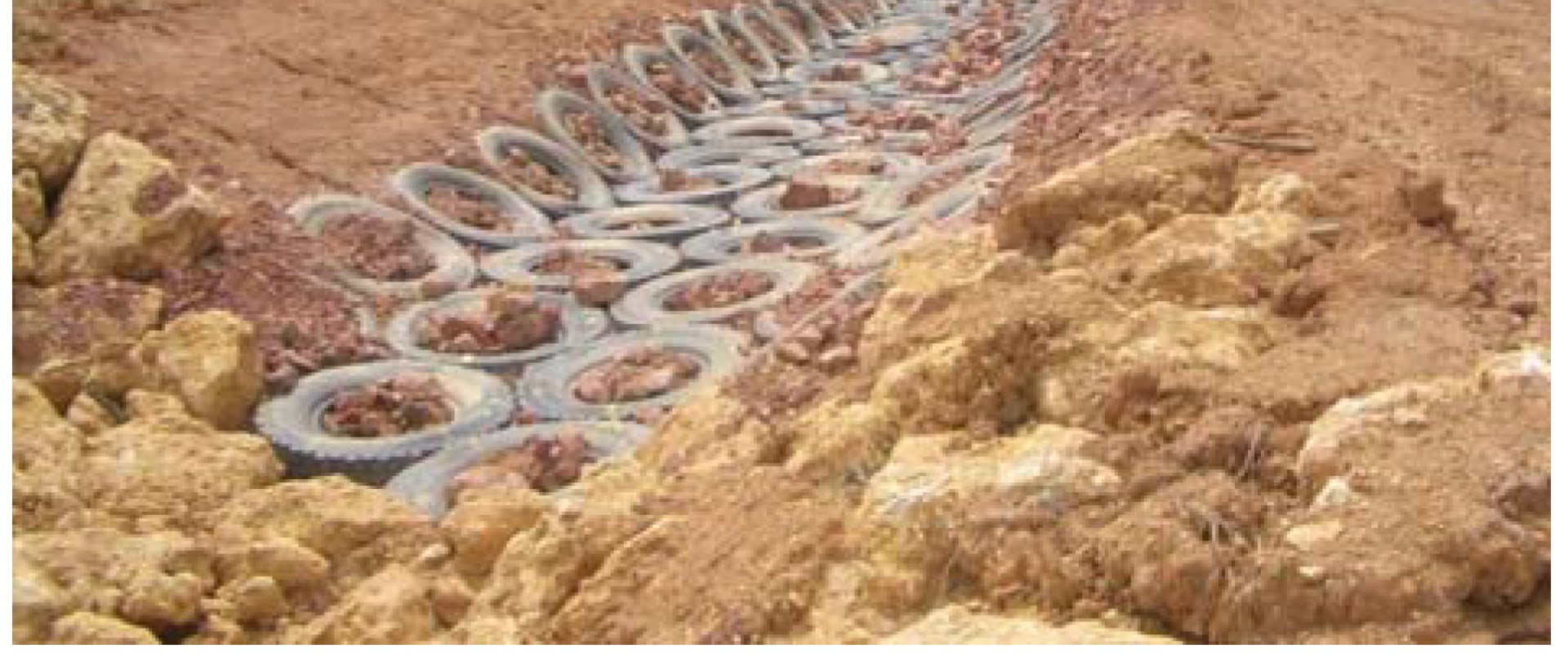 Restoring Soil Fertility After Land Clearing Projects