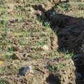 Preventing Soil Erosion During Land Clearing