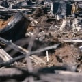 The Impact of Clearing Land: A Comprehensive Guide
