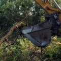 What Does it Mean to Clear Land?