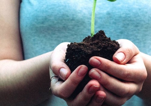 10 Ways to Reduce Land Pollution