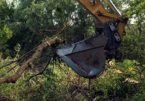 What Does it Mean to Clear Land?