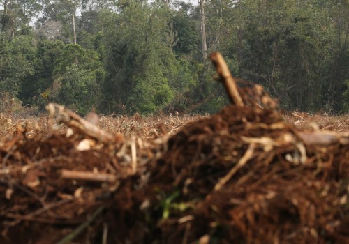 Minimizing the Risk of Fire During Land Clearing Activities